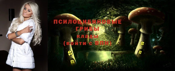 эйфоретик Алексеевка