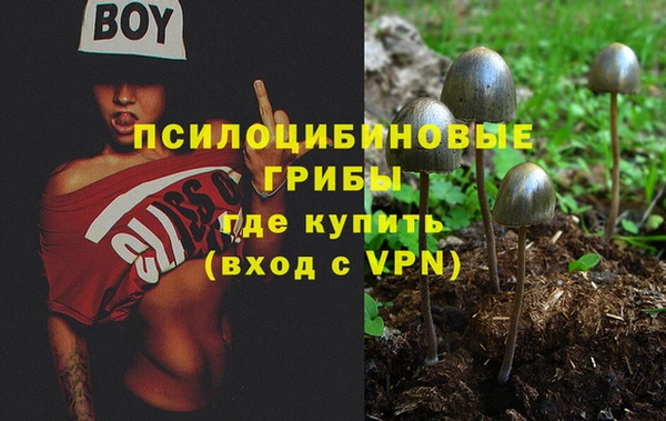 кокаин премиум Алзамай