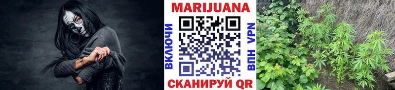 Бошки марихуана гибрид Домодедово